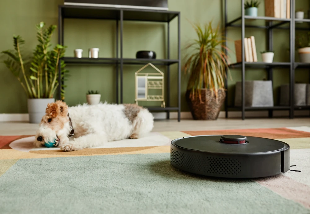 should i buy a robot vacuum cleaner